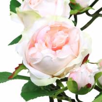 corona di rose rosa Ø35cm