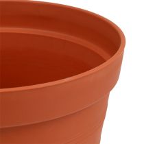 Prodotto Vaso di rose plastica 19 cm terracotta, 1pz