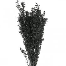 Rami di Ruscus rami decorativi fiori secchi neri 200g