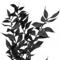 Prodotto Rami di Ruscus, rami decorativi, fiori secchi, neri, 200 g