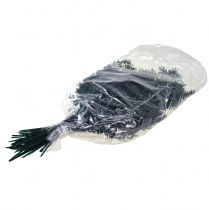 Prodotto Rami decorativi verde ruscus verde scuro 75-95 cm 1 kg