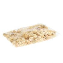 Prodotto Coni Sabulosum sbiancati 500g
