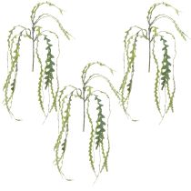 Prodotto Cactus artificiale con foglie di sega Epiphyllum anguliger L68 cm 3 pz