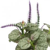 Prodotto Fiori di seta artificiale, salvia in mazzetto, fiore di seta salvia viola L28cm 4pz