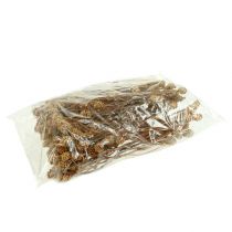 Prodotto Salignum light 4-6 fiori sul ramo Leucadendron 100 pezzi