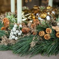 Prodotto Ramo di Salignum leucadendron chiaro fiori sul ramo 25 pz