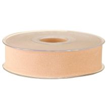 Prodotto Nastro di velluto nastro salmone nastro decorativo 25mm 7m
