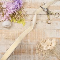 Prodotto Nastro regalo, elegante nastro di velluto per regali e fiori, 20 mm, 10 m