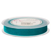 Prodotto Nastro decorativo in velluto, largo 20 mm, lungo 10 m.
