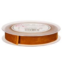 Prodotto Nastro di velluto, nastro decorativo per lavori artigianali e confezioni regalo, 20 mm, 10 m