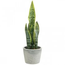 Fiocco di canapa artificiale, pianta verde in vaso, Sansevieria H39cm Ø12cm