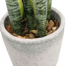 Fiocco di canapa artificiale, pianta verde in vaso, Sansevieria H39cm Ø12cm