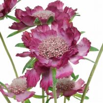 Scabious fiore artificiale rosa fiore estivo H64cm mazzo di 3 pezzi