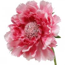 Decorazione floreale artificiale, fiore artificiale scabious rosa 64 cm fascio di 3 pezzi