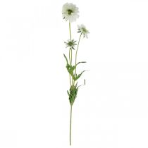 Prodotto Scabiose fiore artificiale bianco fiore da giardino H64cm mazzo con 3 pezzi