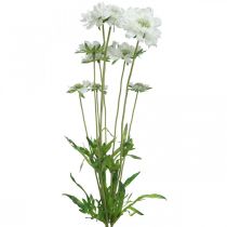 Prodotto Scabiose fiore artificiale bianco fiore da giardino H64cm mazzo con 3 pezzi