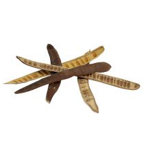 Prodotto Cialda Scaletta naturale 25cm - 50cm 25 pz