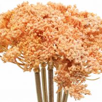 Prodotto Achillea fiori artificiali artificiali arancione 50 cm 5 pezzi in mazzo