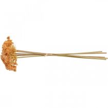 Prodotto Achillea fiori artificiali artificiali arancione 50 cm 5 pezzi in mazzo