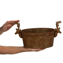 Prodotto Ciotola decorativa a forma di testa di renna, ovale, color ruggine, rustica, 41 cm