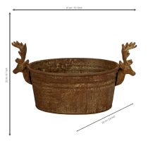 Prodotto Ciotola decorativa a forma di testa di renna, ovale, color ruggine, rustica, 41 cm