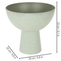 Prodotto Ciotola con supporto per piante, ciotola decorativa, 25 cm