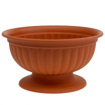 Prodotto Ciotola con base in terracotta Ø35cm