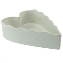 Ciotola in plastica cuore per piante bianco grigio 21×14,5×5,5 cm