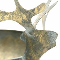 Prodotto Ciotola con testa di renna in metallo dorato anticato Ø14cm