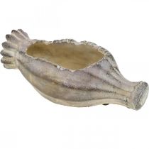 Capsula di papavero per piantare, decorazione in cemento, vaso per piante, decorazione da giardino L29,5 cm