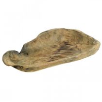 Ciotola decorativa in legno di Paulownia, decorazione da tavola, fioriera L34cm H5cm