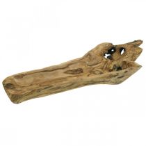 Ciotola decorativa Legno di Paulownia, vassoio per fiori, vaso in legno L58cm H7–8cm
