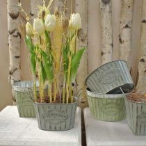 Prodotto Vaso da fiori in metallo portapiante con manici verde, bianco, grigio L24cm H14,5cm 3 pezzi