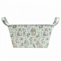 Prodotto Fioriera Jardiniere fioriera in metallo 20×12,5×10cm