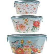 Prodotto Ciotole per piante, primavera, vaso per piante fiori/uccelli, contenitore ovale in metallo L39/31/24,5 cm, set da 3