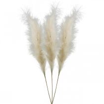 Feather Grass Cream Canna cinese Erba secca artificiale 100 cm 3 pezzi