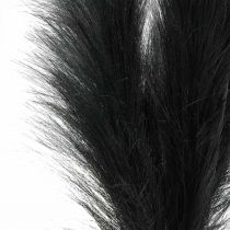 Erba di piume Canna cinese nera Erba secca artificiale 100 cm 3 pezzi