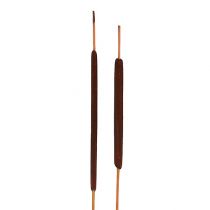 Prodotto Mix di lampadine a lamella marroni 100 pz