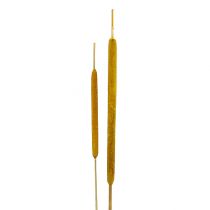 Prodotto Mix di lampadine a lamella gialle 100 pz
