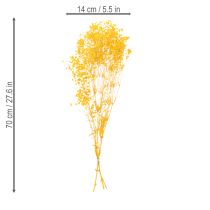 Prodotto Bouquet di fiori secchi con gypsophila. Rami fioriti decorativi adatti per decorazioni da tavola stagionali. 70 cm.