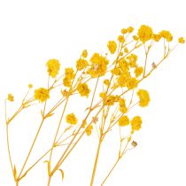 Prodotto Bouquet di fiori secchi con gypsophila. Rami fioriti decorativi adatti per decorazioni stagionali da tavola. 70 cm