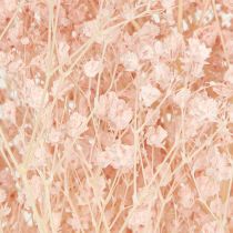 Prodotto Decorazione Gypsophila Arancio Erbe secche Pesca 65-70cm 100g