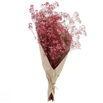 Prodotto Gypsophila panicolata erba di gesso in bacche L50cm 55g