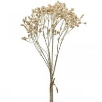 Prodotto Gypsophila artificiale crema gypsophila 46 cm mazzo di 3 pezzi