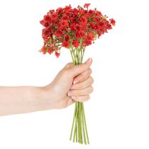 Prodotto Giardinaggio artificiale, rosso, bouquet come decorazione floreale, 30 cm, 10 pezzi