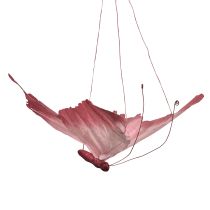 Prodotto Grande decorazione a forma di farfalla da appendere, elegante decorazione da parete, 50 cm, 2 pezzi