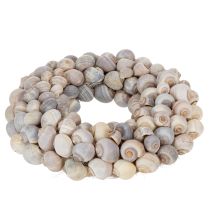 Prodotto Ghirlanda a forma di lumaca da appendere, ghirlanda decorativa, stile marittimo, Nathai, Ø35cm