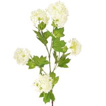 Prodotto Ramo di viburno artificiale Snowball con fiori bianchi L90cm