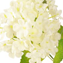 Prodotto Ramo di viburno artificiale Snowball con fiori bianchi L90cm