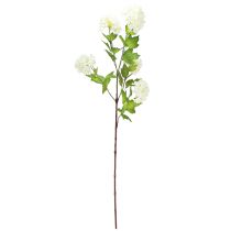 Prodotto Ramo di viburno artificiale Snowball con fiori bianchi L90cm